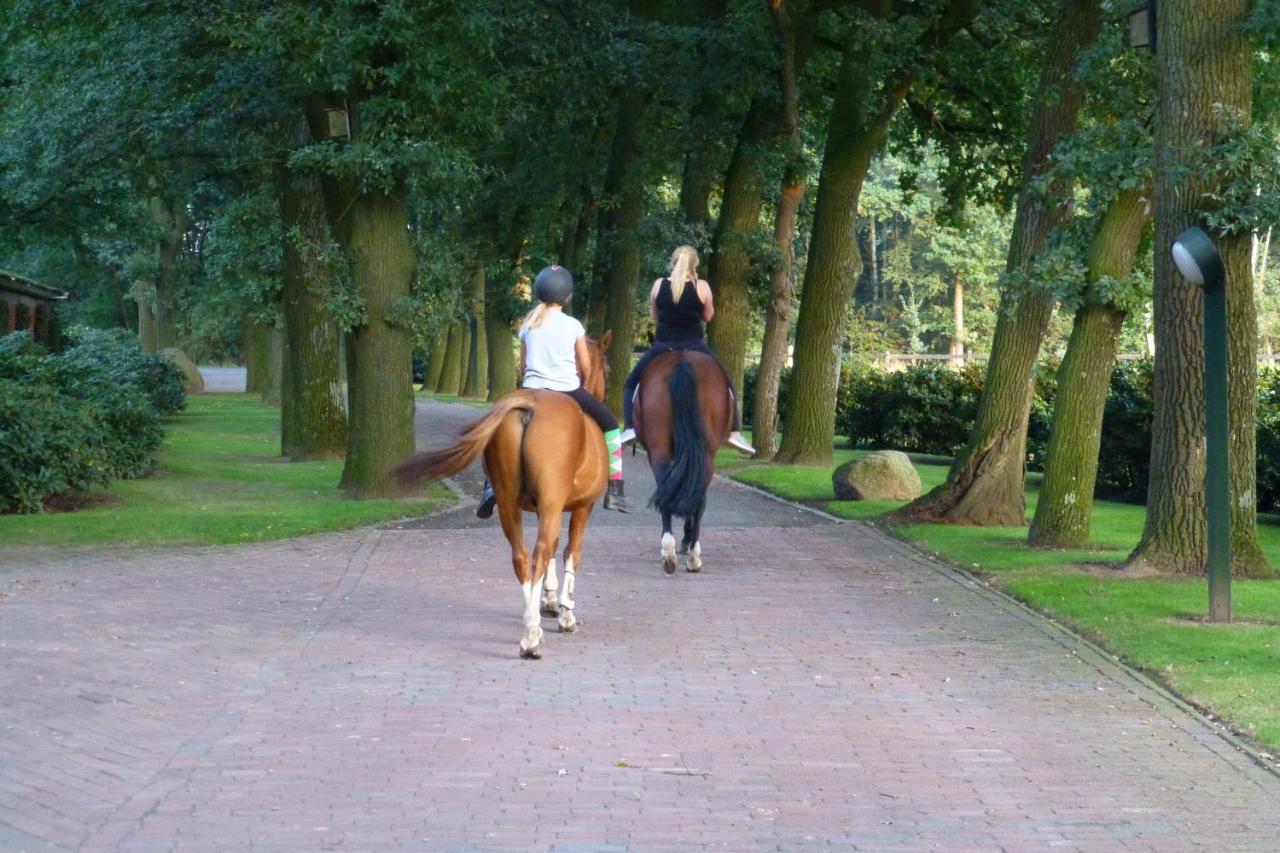 Grosse Ferienwohnung, Auf Bauernhof Mit Ponys Und Pferden, Laendlich Und Ruhig, Naehe Duemmer See Holdorf Exteriér fotografie