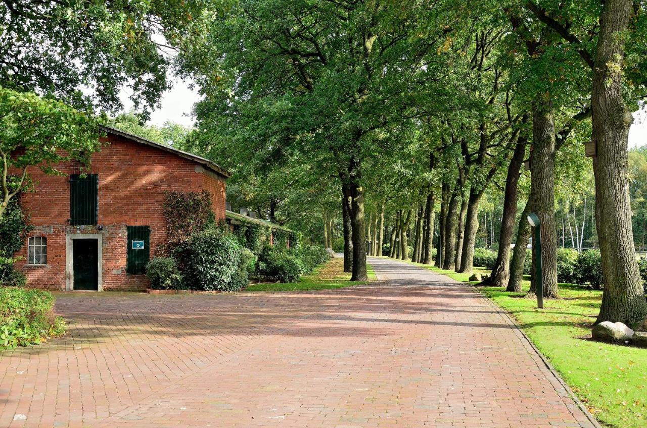 Grosse Ferienwohnung, Auf Bauernhof Mit Ponys Und Pferden, Laendlich Und Ruhig, Naehe Duemmer See Holdorf Exteriér fotografie