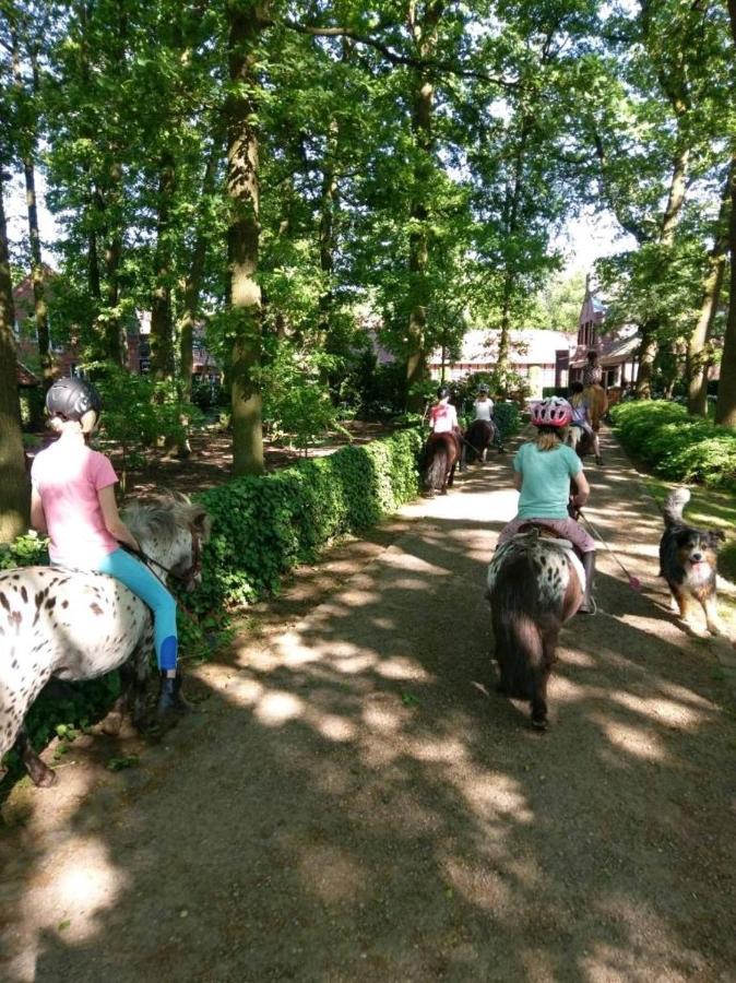 Grosse Ferienwohnung, Auf Bauernhof Mit Ponys Und Pferden, Laendlich Und Ruhig, Naehe Duemmer See Holdorf Exteriér fotografie