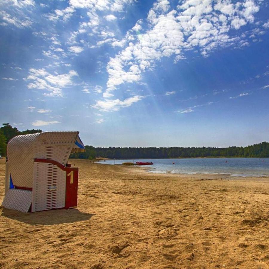 Grosse Ferienwohnung, Auf Bauernhof Mit Ponys Und Pferden, Laendlich Und Ruhig, Naehe Duemmer See Holdorf Exteriér fotografie